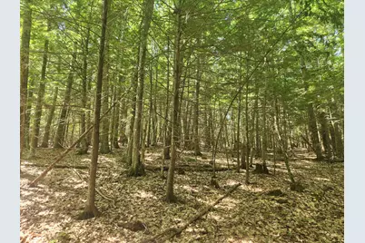 412 Greenwood Road, Norway, ME 04268 - Photo 35