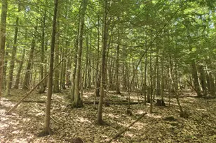 412 Greenwood Rd, Norway, ME 04268 - Photo 35