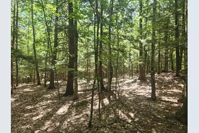 412 Greenwood Road, Norway, ME 04268 - Photo 47