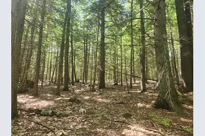 412 Greenwood Road, Norway, ME 04268 - Photo 41