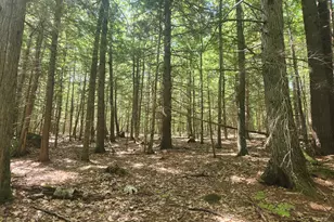 412 Greenwood Rd, Norway, ME 04268 - Photo 41