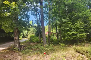 412 Greenwood Rd, Norway, ME 04268 - Photo 61