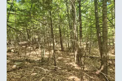 412 Greenwood Road, Norway, ME 04268 - Photo 51