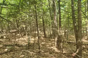412 Greenwood Rd, Norway, ME 04268 - Photo 51