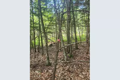 412 Greenwood Road, Norway, ME 04268 - Photo 45