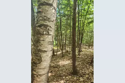 412 Greenwood Road, Norway, ME 04268 - Photo 49