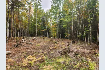 Lot 6 Willy's Way, Buckfield, ME 04220 - Photo 7