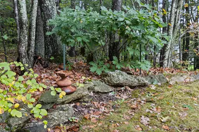 21 Carmichael Avenue, Falmouth, ME 04105 - Photo 55