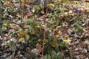 43 Loon Cv, Carmel, ME 04419 - Photo 25