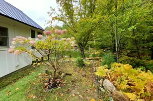 315 Richardson Rd, Hiram, ME 04041 - Photo 65