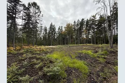 Lot #2 Hidden Drive, Vinalhaven, ME 04863 - Photo 13