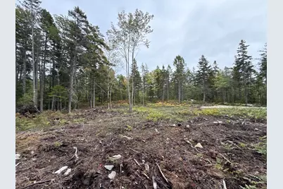 Lot #2 Hidden Drive, Vinalhaven, ME 04863 - Photo 5