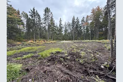 Lot #2 Hidden Drive, Vinalhaven, ME 04863 - Photo 11