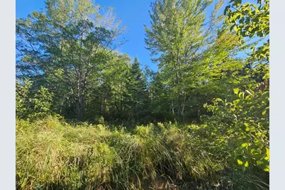 M11L1 Wilder Davis Road, Hudson, ME 04449 - Photo 37