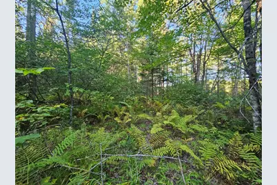 M11L1 Wilder Davis Road, Hudson, ME 04449 - Photo 39