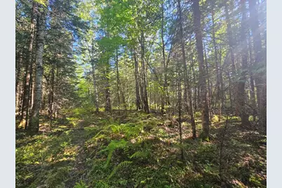 M11L1 Wilder Davis Road, Hudson, ME 04449 - Photo 27