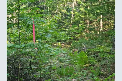 M11L1 Wilder Davis Road, Hudson, ME 04449 - Photo 47