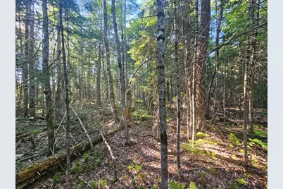 M11L1 Wilder Davis Road, Hudson, ME 04449 - Photo 35
