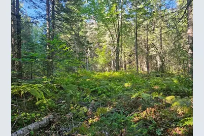 M11L1 Wilder Davis Road, Hudson, ME 04449 - Photo 29