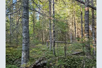 M11L1 Wilder Davis Road, Hudson, ME 04449 - Photo 45