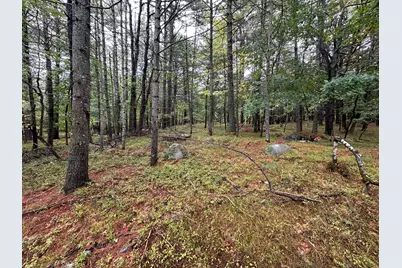 Lot 61.3 Sand Pond Road, Limington, ME 04049 - Photo 3
