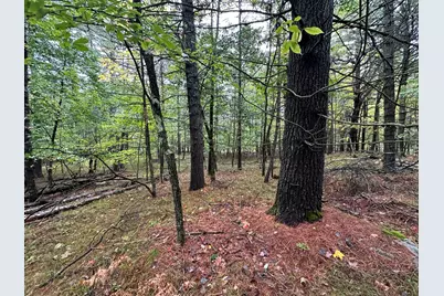 Lot 61.3 Sand Pond Road, Limington, ME 04049 - Photo 7