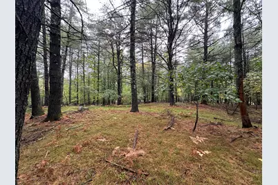 Lot 61.3 Sand Pond Road, Limington, ME 04049 - Photo 5