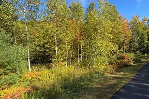 Lot #13 Pine Grove Ln, Etna, ME 04434 - Photo 1