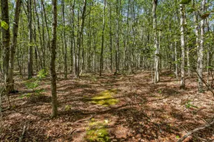 284 Ridge Rd, Fairfield, ME 04937 - Photo 53
