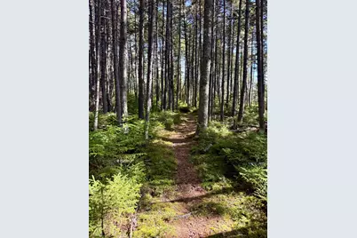#17 Island, Lily Bay Twp, ME 04441 - Photo 21