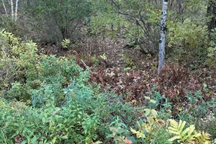 0 McCaslin Rd, China, ME 04358 - Photo 9