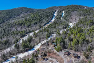 14 Trailside Way, Bridgton, ME 04009 - Photo 89
