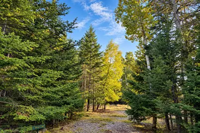 Lot 3 Sophies Way, Tremont, ME 04653 - Photo 7