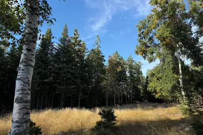 Lot 3 Sophies Way, Tremont, ME 04653 - Photo 11