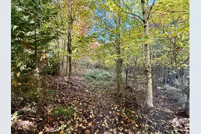 Lot 4 Number 7 Road, Steuben, ME 04680 - Photo 7