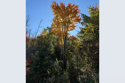 Lot 4 Number 7 Road, Steuben, ME 04680 - Photo 13