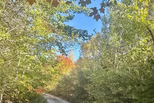 Lot 4 Number 7 Rd, Steuben, ME 04680 - Photo 1