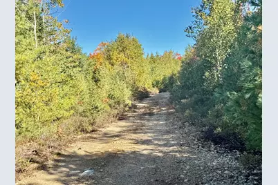Lot 4 Number 7 Road, Steuben, ME 04680 - Photo 3