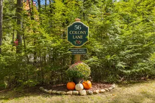 56 Colony Ln, Naples, ME 04055 - Photo 1