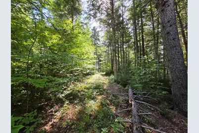 6 Jipony Way, Lakeville, ME 04487 - Photo 39