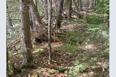 6 Jipony Way, Lakeville, ME 04487 - Photo 21