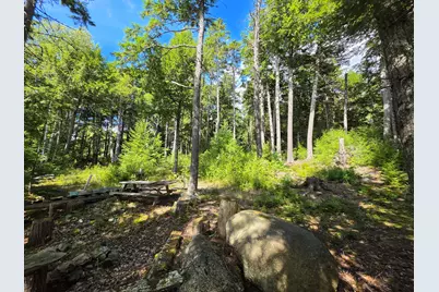 6 Jipony Way, Lakeville, ME 04487 - Photo 11