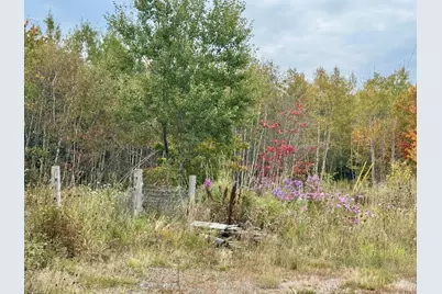 Lot 28 Huntley Lane, Machias, ME 04654 - Photo 11
