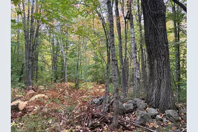 Lot 13-B2 S Town Farm Road, Oxford, ME 04270 - Photo 9