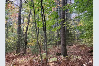 Lot 13-B2 S Town Farm Road, Oxford, ME 04270 - Photo 11