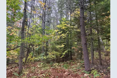 Lot 13-B2 S Town Farm Road, Oxford, ME 04270 - Photo 13