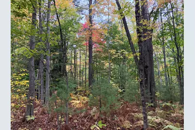 Lot 13-B2 S Town Farm Road, Oxford, ME 04270 - Photo 7