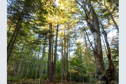 213/17/1 Knox Road, Bar Harbor, ME 04609 - Photo 1