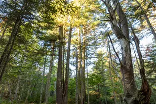 213/17/1 Knox Rd, Bar Harbor, ME 04609 - Photo 1