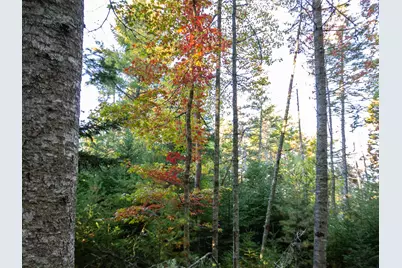 213/17/1 Knox Road, Bar Harbor, ME 04609 - Photo 5
